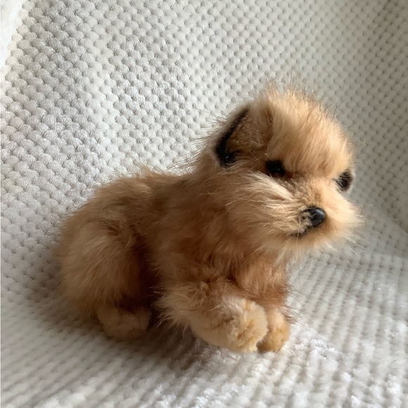 HANSA Toy Norfolk Terrier Realistic Dog Plush Stuffed Animal Toy Posable Legs - Picture 14 of 16